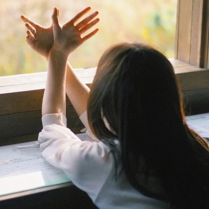 锦衣卫之暮光之下